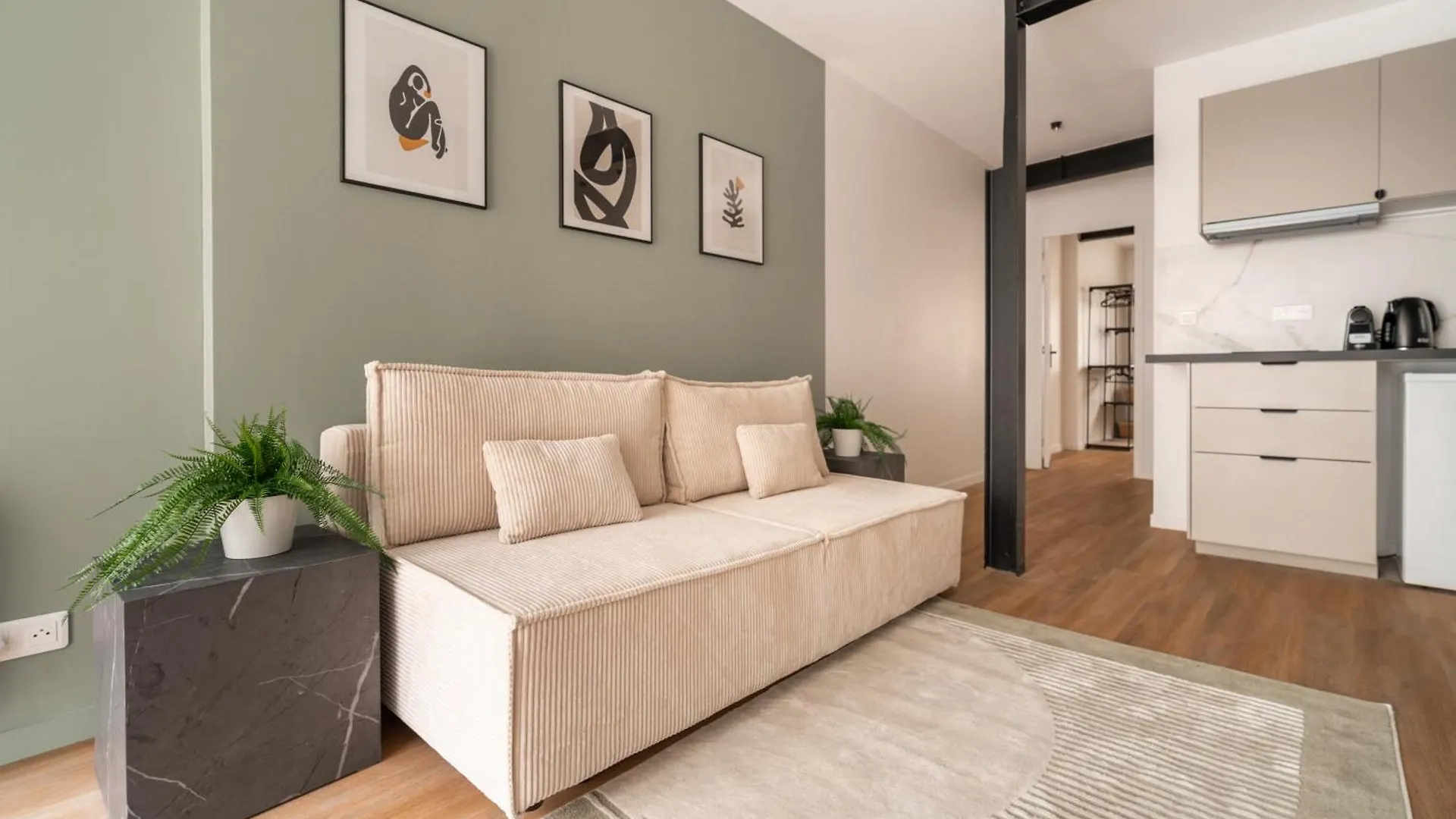Stunning New Apartments In Paris France